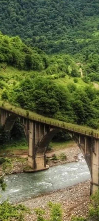 Белый Лотос Gagra Exterior foto
